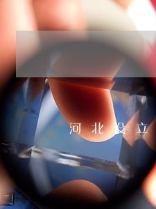 河北设立法律咨询公司 河北设立法律咨询公司