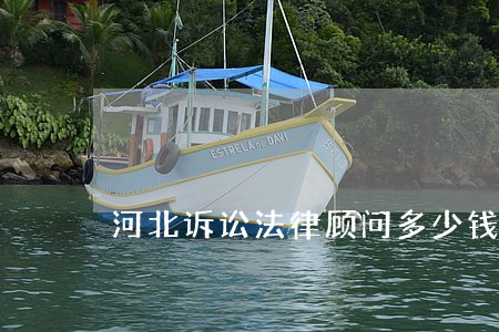 河北诉讼法律顾问多少钱 河北诉讼法律顾问多少钱