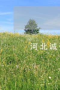 河北诚研律师事务所 河北诚研律师事务所