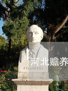 河北赡养老人纠纷诉讼手续是什么 河北赡养老人纠纷诉讼手续是什么