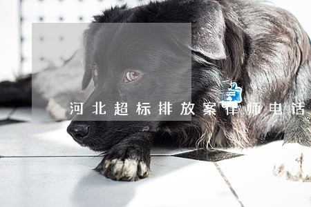 河北超标排放案律师电话多少 河北超标排放案律师电话多少