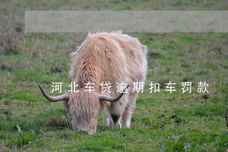 河北车贷逾期扣车罚款 河北车贷逾期扣车罚款
