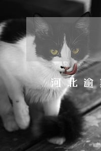 河北逾期未检验注销 河北逾期未检验注销