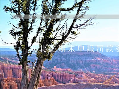 河北逾期未申报罚款多少 河北逾期未申报罚款多少