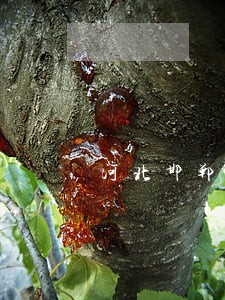 河北邯郸律师事务所 河北邯郸律师事务所