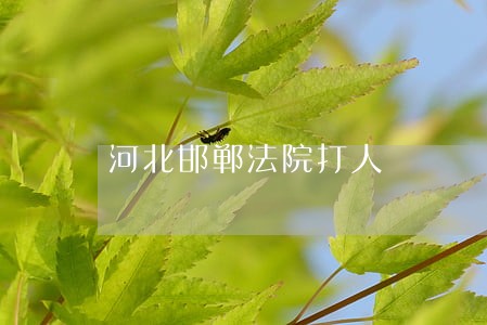 河北邯郸法院打人 河北邯郸法院打人