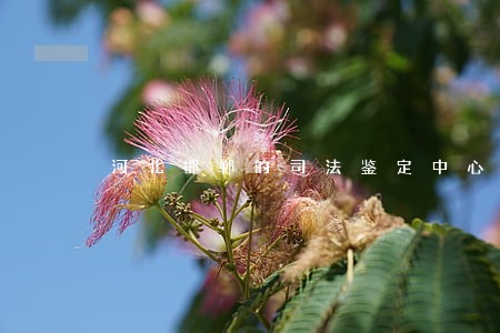 河北邯郸的司法鉴定中心