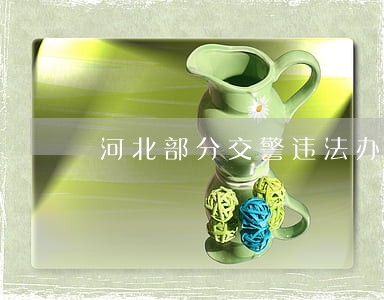 河北部分交警违法办证受处分 河北部分交警违法办证受处分