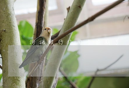 河北银行信用卡逾期了 河北银行信用卡逾期了