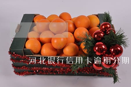 河北银行信用卡逾期分期 河北银行信用卡逾期分期