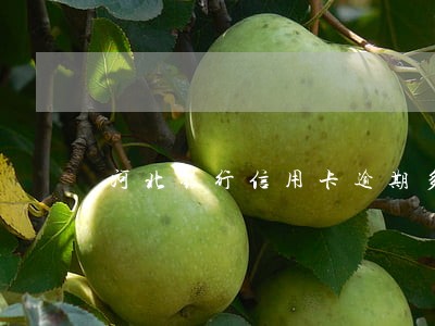 河北银行信用卡逾期多久会爆通 河北银行信用卡逾期多久会爆通