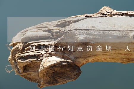 河北银行如意贷逾期一天上征信 河北银行如意贷逾期一天上征信