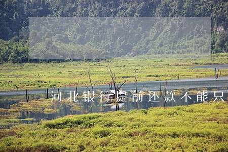 河北银行提前还款不能只还本金吗 河北银行提前还款不能只还本金吗