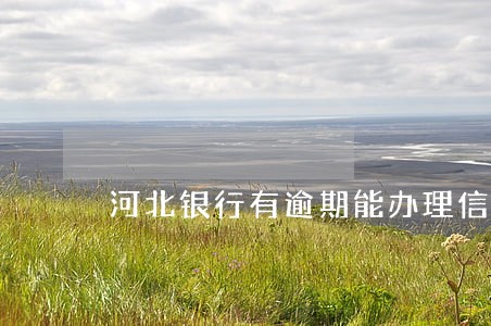 河北银行有逾期能办理信用卡吗