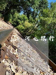 河北银行贷款申请逾期 河北银行贷款申请逾期