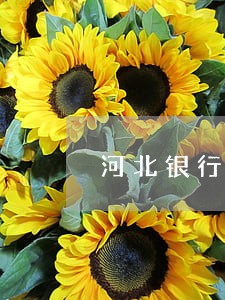 河北银行车贷逾期一次 河北银行车贷逾期一次