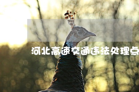 河北高速交通违法处理点