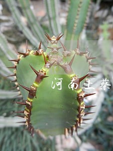 河南上蔡法院在行动 河南上蔡法院在行动