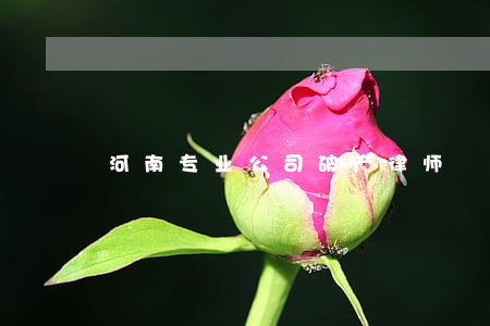 河南专业公司破产律师 河南专业公司破产律师