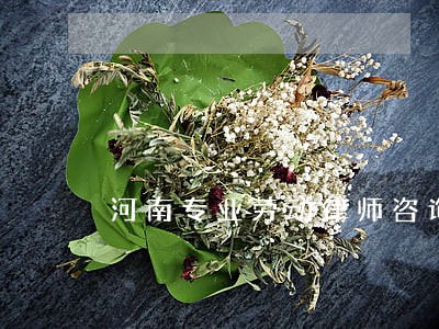 河南专业劳动律师咨询