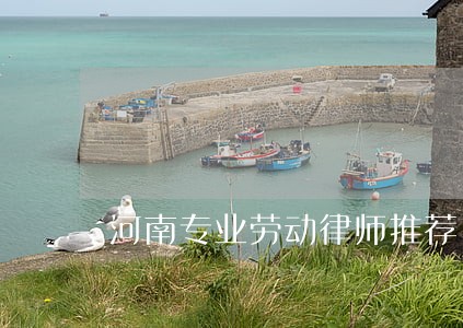 河南专业劳动律师推荐