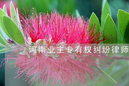河南业主专有权纠纷律师专家 河南业主专有权纠纷律师专家