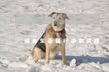 河南东亚银行逾期处理 河南东亚银行逾期处理