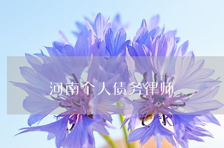 河南个人债务律师 河南个人债务律师