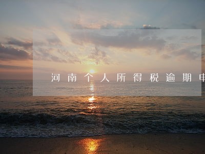 河南个人所得税逾期申报