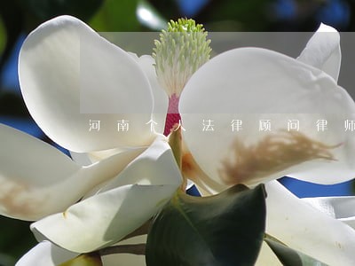 河南个人法律顾问律师 河南个人法律顾问律师