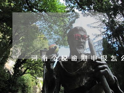 河南个税逾期申报怎么补报