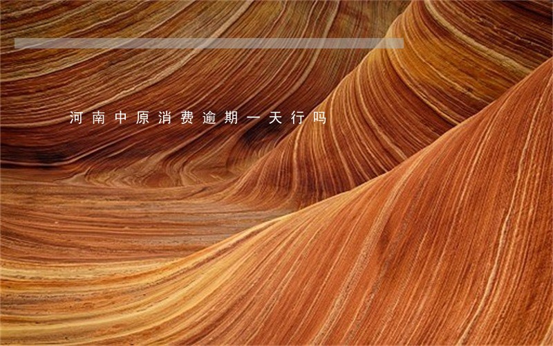 河南中原消费逾期一天行吗 河南中原消费逾期一天行吗