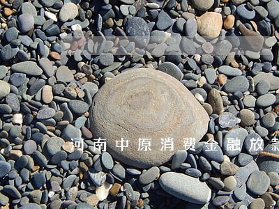 河南中原消费金融放款逾期 河南中原消费金融放款逾期