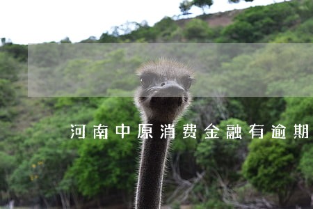 河南中原消费金融有逾期怎么还 河南中原消费金融有逾期怎么还