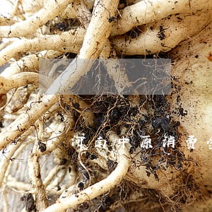 河南中原消费金融逾期 河南中原消费金融逾期