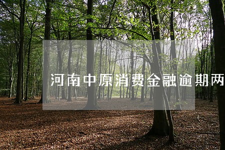 河南中原消费金融逾期两年 河南中原消费金融逾期两年