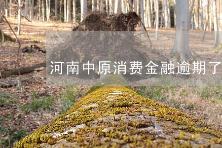 河南中原消费金融逾期了几天 河南中原消费金融逾期了几天