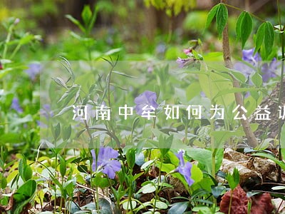 河南中牟如何为公益诉讼扫清障碍 河南中牟如何为公益诉讼扫清障碍