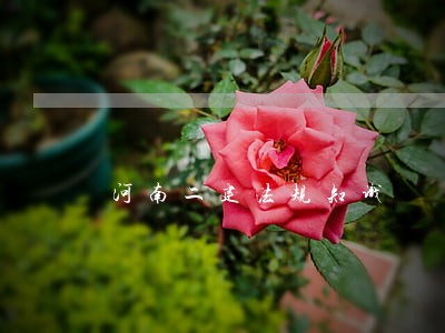 河南二建法规知识