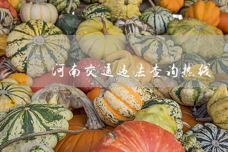 河南交通违法查询热线