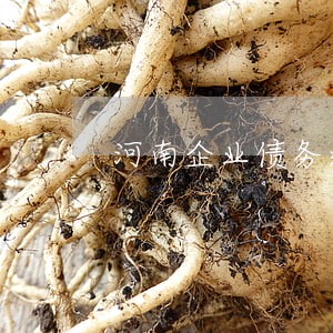 河南企业债务逾期咨询 河南企业债务逾期咨询