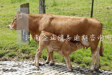 河南企业债务逾期咨询哪家好 河南企业债务逾期咨询哪家好