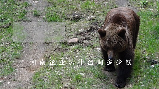 河南企业法律咨询多少钱 河南企业法律咨询多少钱