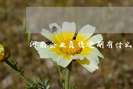 河南企业负债逾期有什么后果 河南企业负债逾期有什么后果