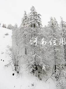 河南信用卡逾期