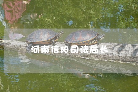 河南信阳司法局长 河南信阳司法局长