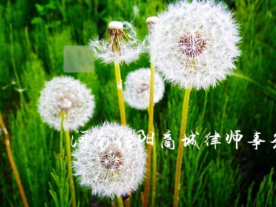 河南信阳商城律师事务所排行榜