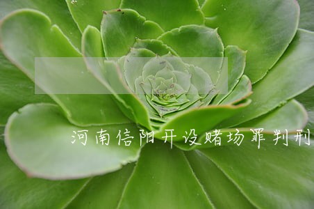河南信阳开设赌场罪判刑案例 河南信阳开设赌场罪判刑案例
