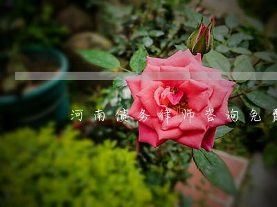 河南债务律师咨询免费 河南债务律师咨询免费
