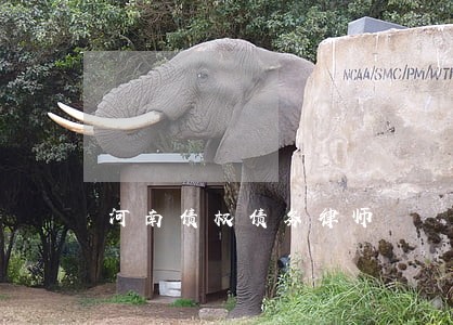 河南债权债务律师 河南债权债务律师